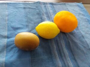 fruits
